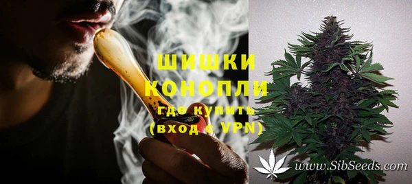 трава Гатчина